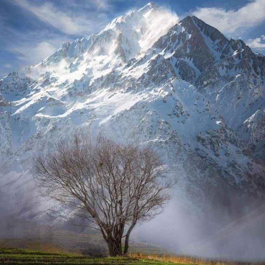 آهنگ جدید  نقی معمولی ترند اینستایی